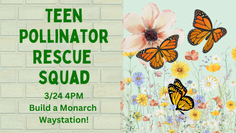 Teen Pollinator Rescue Squad. Make a Monarch Butterfly station!